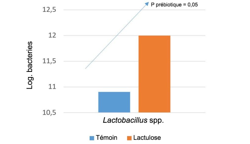 Nous pouvons utiliser des pr&eacute;biotiques sp&eacute;cifiques pour augmenter les populations microbiennes qui nous int&eacute;ressent. Par exemple, le lactulose augmente les niveaux de lactobacillus spp. War et al. 2014
