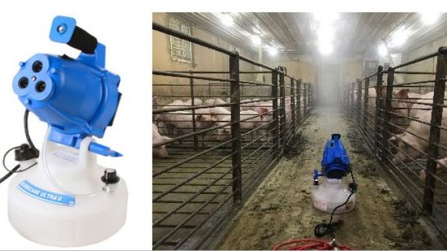 Figure 2. Exposition par aérosol des cochettes de remplacement pour Mycoplasma hyopneumoniae.