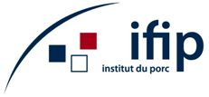 <p>IFIP</p>
