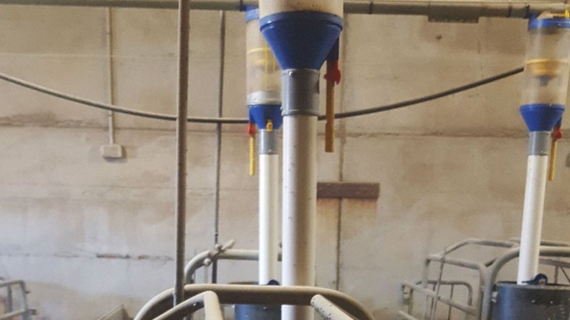 Figure 3 : Avec un doseur, il est possible de r&eacute;gler plus facilement l&rsquo;aliment avant et apr&egrave;s la mise-bas, ce qui permet de l&rsquo;alimenter &agrave; volont&eacute; plus tard.
