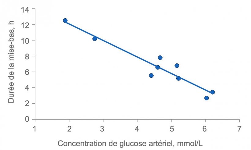 Figure 2 : La dur&eacute;e de la mise-bas est beaucoup prolong&eacute;e si les truies sont &agrave; court d&#39;&eacute;nergie. Normalement, le glucose plasmatique reste constant &agrave; 4,5 mmol / L (entre 4 et 5), mais peu de temps apr&egrave;s l&rsquo;alimentation, il d&eacute;passe ce niveau et plusieurs heures apr&egrave;s l&rsquo;alimentation, le glucose plasmatique peut &ecirc;tre compromis si le d&eacute;p&ocirc;t de glycog&egrave;ne dans le foie s&#39;&eacute;puise.
