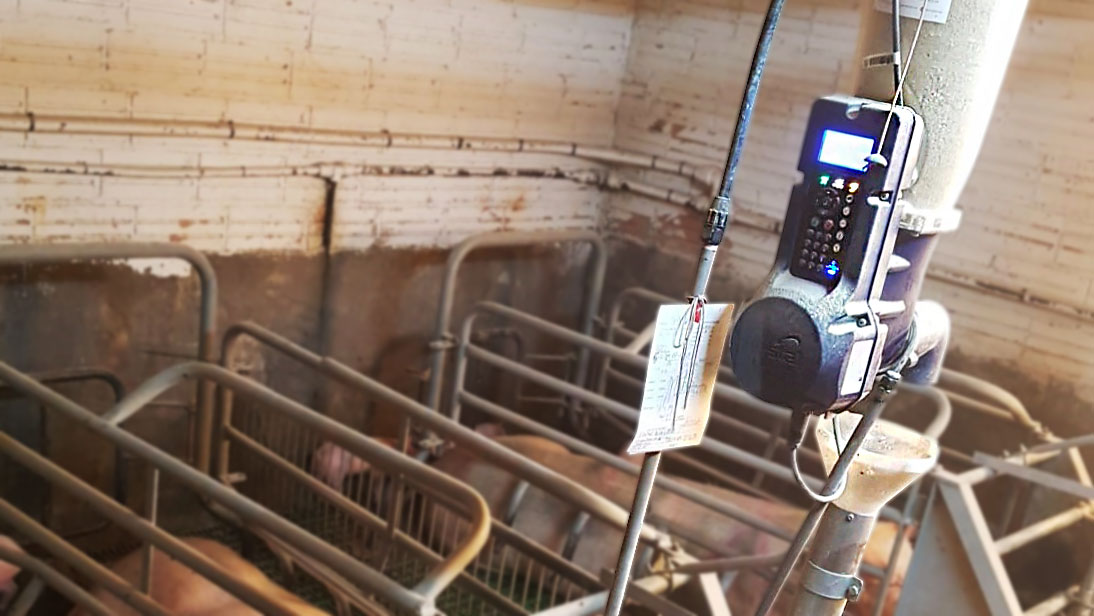 <p>Photo 2. Système électronique d'alimentation à sec.</p>