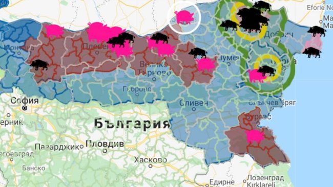 Le foyer, avec 17 000 animaux sensibles, est proche de la frontière avec la Roumanie.