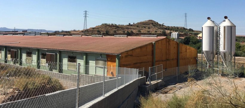 Image 5. Plate-forme de l&#39;un des nouveaux chargeurs.
