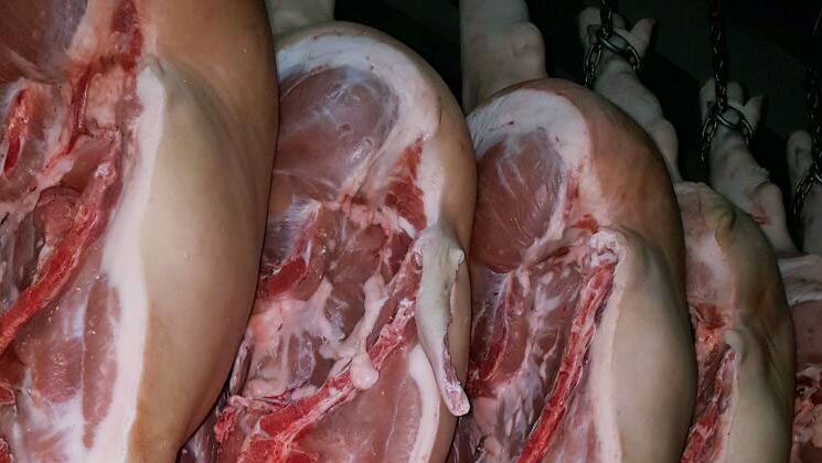 porc carcasse prix
