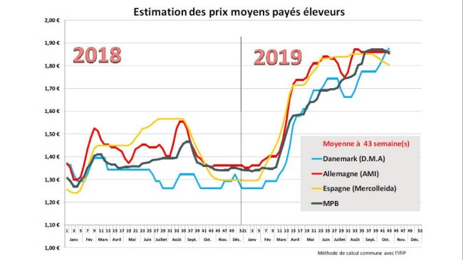 prix porcs marché porc breton