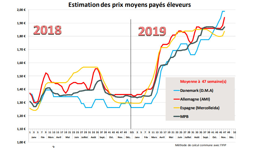prix porcs marché breton