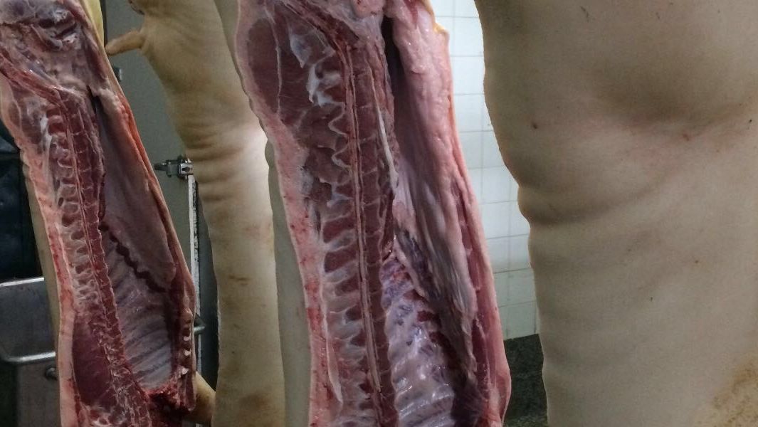prix viande porc