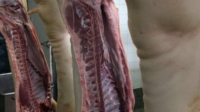 prix viande porc