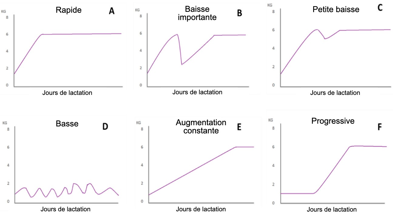 <p>Figure 1. Profils d'alimentation des truies allaitantes décrits par Koketsu et al (1996a). A) Augmentation rapide de la consommation; B) diminution significative; C) petite chute; D) faible consommation tout au long de la lactation; E) faible consommation la première semaine de lactation et augmentation constante le reste de la lactation; et F) augmentation progressive de la consommation.</p>