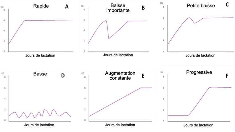 Figure 1. Profils d&#39;alimentation des truies allaitantes d&eacute;crits par Koketsu et al (1996a). A) Augmentation rapide de la consommation; B) diminution significative; C) petite chute; D) faible consommation tout au long de la lactation; E) faible consommation la premi&egrave;re semaine de lactation et augmentation constante le reste de la lactation; et F) augmentation progressive de la consommation.
