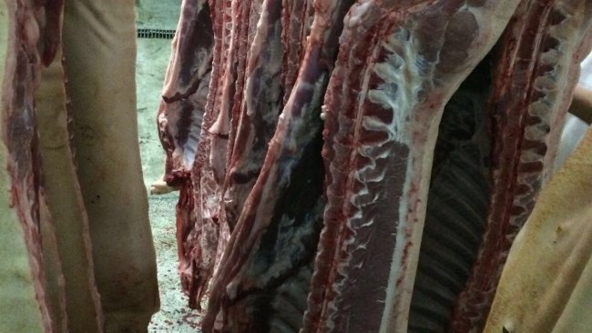 viande porc carcasse