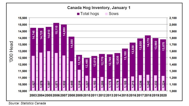 Effectif canadien des porcs et des truies au 1er janvier par an