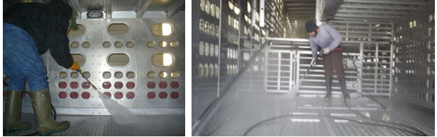 <p>Image 3: Nettoyage humide des fines particules organiques par lavage mécanique de l'intérieur d'un véhicule de transport de porcs. Cette étape suit le processus de nettoyage à sec. Avec l'aimable autorisation du Dr Clayton Johnson de Carthage Veterinary Services.</p>