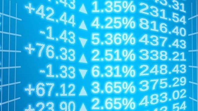 marchés à terme des porcs