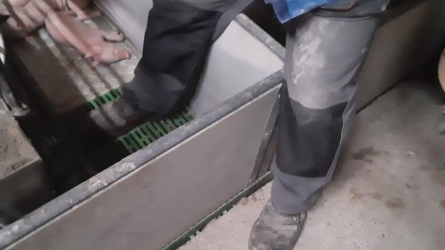 Image 1: Dans la mesure du possible, évitez d'entrer dans un enclos de mise-bas. Photo avec l'aimable autorisation de Ramaderies Duch.