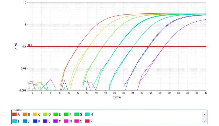 Image 2. Amplification des courbes standard pour la PCR quantitative. Source: Thermo Fisher Scientific Inc.
