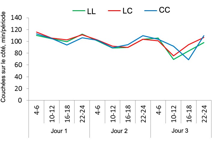 Figure 1. Mod&egrave;le de repos des truies dans le syst&egrave;me SWAP avec 3 strat&eacute;gies d&#39;utilisation diff&eacute;rentes : pas de confinement, confinement apr&egrave;s la mise-bas et pendant 4 jours (libres ensuite), ou confinement la veille de la mise-bas et pendant 4 jours (libres ensuite). Le temps que les truies passent couch&eacute;es sur le c&ocirc;t&eacute; pendant les 3 premiers jours de lactation (enregistr&eacute; par p&eacute;riodes de 2 h) dans les 3 traitements: libre en mise-bas et de lactation (LL), confin&eacute;es apr&egrave;s la mise-bas et pendant les 4 premiers jours de lactation (LC), confin&eacute;es un jour avant l&#39;a mise-bas pr&eacute;vue et pendant les 4 premiers jours de lactation (CC).
