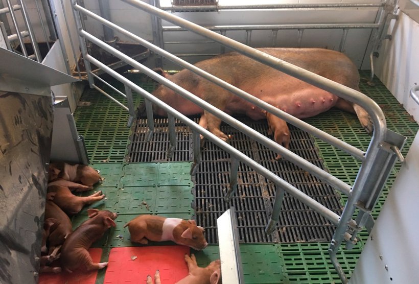 Photo 2. Syst&egrave;me JLF15.
