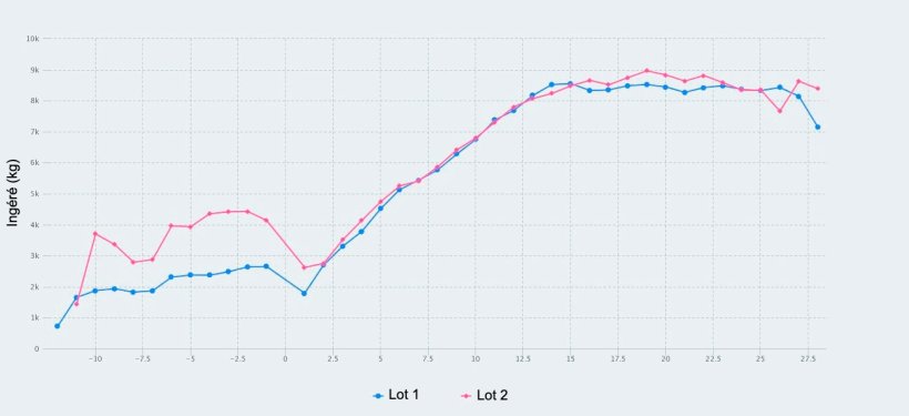 Figure 1. Consommation d&#39;aliments du 107&egrave;me jour de gestation au sevrage (28&egrave;me jour de lactation) de truies nourries avec un maximum de 2,8 kg / jour (lot 1) et 4,2 kg / jour (lot 2) d&#39;aliment pendant les jours pr&eacute;c&eacute;dant la mise-bas.
