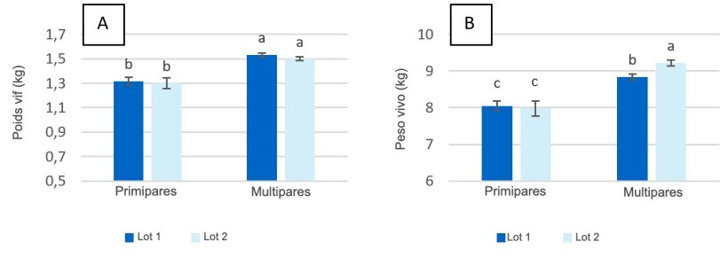 Figure 2. Poids vif des porcelets &agrave; la naissance (A) et au sevrage (jour 28 de lactation) (B) issus de truies primipares et multipares nourries avec un maximum de 2,80 kg / jour (lot 1) et 4,20 kg / jour (lot 2) d&#39;aliment pendant les jours pr&eacute;c&eacute;dant la mise-bas.
