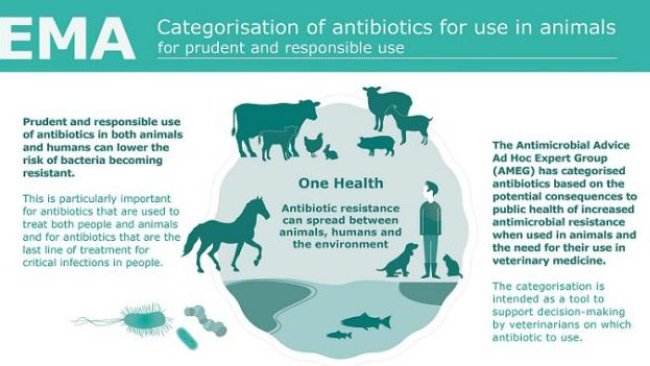 antimicrobiens