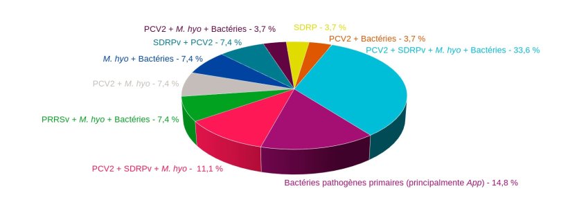 Figure 1 : Combinaisons d&#39;agents pathog&egrave;nes trouv&eacute;s dans des cas de CRP diagnostiqu&eacute;s sur le terrain au cours des 4 derni&egrave;res ann&eacute;es au Service d&#39;anatomie pathologique de la Facult&eacute; v&eacute;t&eacute;rinaire de l&#39;Universit&eacute; de Murcie.
