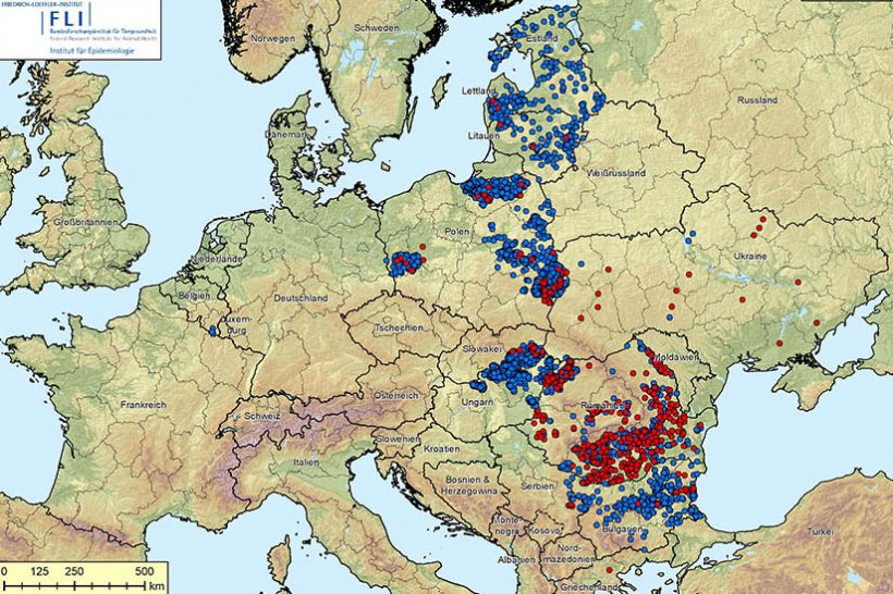 Carte des foyers de PPA en Europe au 10 septembre 2020. Foyers chez les sangliers (en bleu) et chez les porcs (rouge). Source : FLI.
