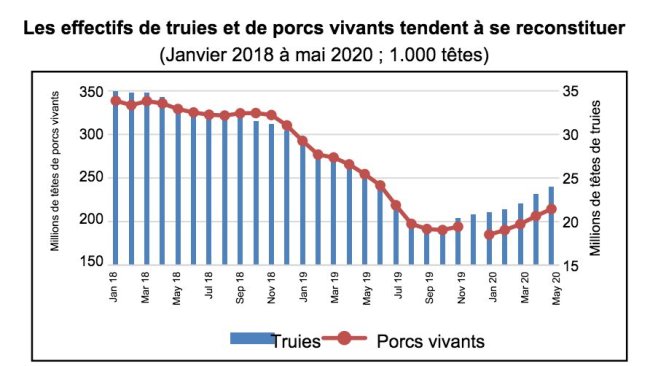 Données de décembre 2019 non disponibles. Source : MARA