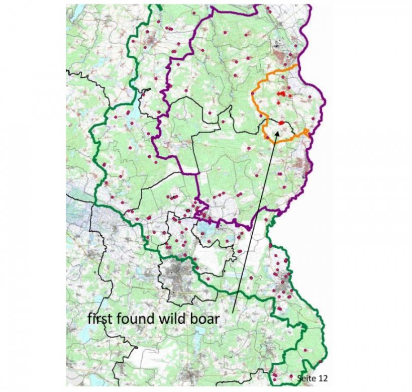 La carte suivante montre les limites de la zone noyau (jaune), de la zone infect&eacute;e (violet) et de la zone tampon (vert) ainsi que la localisation des cas de sangliers trouv&eacute;s (ast&eacute;risque) et des &eacute;levages de porcs (points rouges). Source : MAPA.
