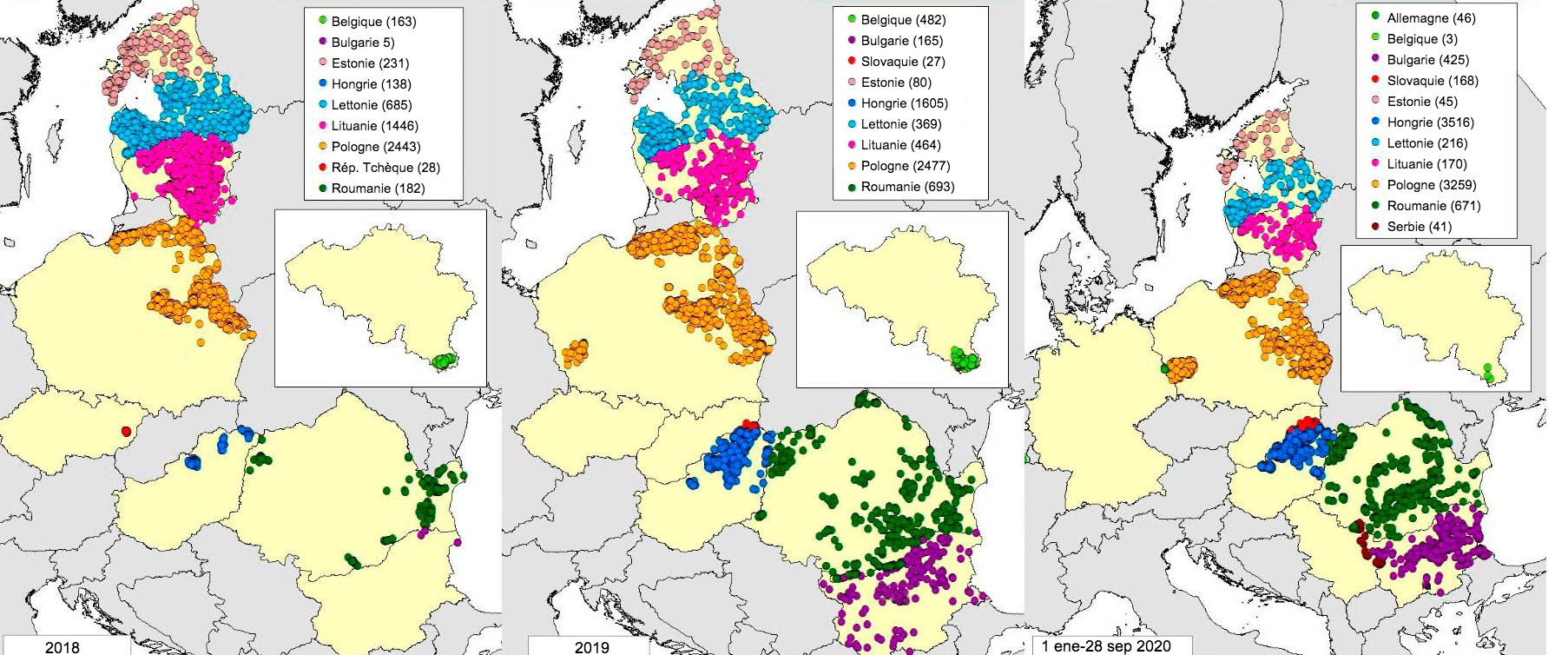 <p>Carte des foyers d&eacute;clar&eacute;s chez les sangliers en 2018, 2019 et 2020 (jusqu'au 28 septembre 2020) (Source : MAPA &agrave; partir de RASVE-ADNS)</p>
