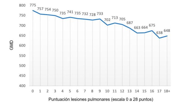 Figure 2: Valeur du GMQ (grammes) en fonction du score de lésions pulmonaires (échelle de 0 à 28 points). Adapté de Pagot et al. (2007).