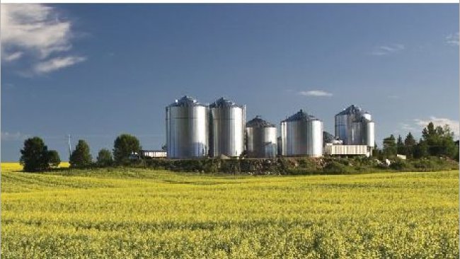 Image 2. Usine d'aliments en Amérique du Nord. Source ANACAN.