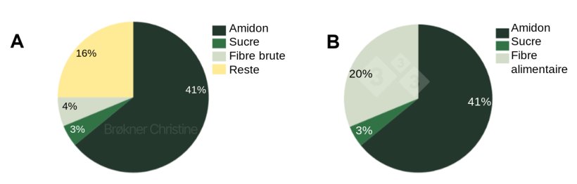 Figure 2. Un r&eacute;gime, deux analyses diff&eacute;rentes pour quantifier la teneur totale en glucides (64%) d&#39;un r&eacute;gime de transition commercial. (A) L&#39;analyse proximale a ses limites et 16% de la fraction de fibre est inconnue. (B) L&#39;analyse enzymatico-chimique identifie toutes les fractions glucidiques.
