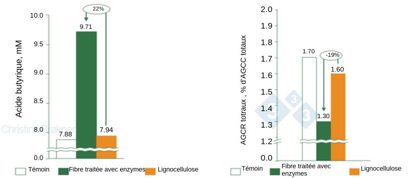 Figure 1. Contr&ocirc;le = pas de fibre, fibre trait&eacute;e avec des enzymes = PNA soluble, Lignocellulose = PNA insoluble. (A) La production d&#39;acide butyrique augmente de 22% chez les porcelets (15 kg) lors de la fermentation de fibres solubles. (B) La fermentation des prot&eacute;ines est r&eacute;duite de 19% chez les porcelets (15 kg) par la fermentation de fibres solubles. AGCC = acides gras &agrave; cha&icirc;ne courte, AGCR = acides gras &agrave; cha&icirc;ne ramifi&eacute;e.
