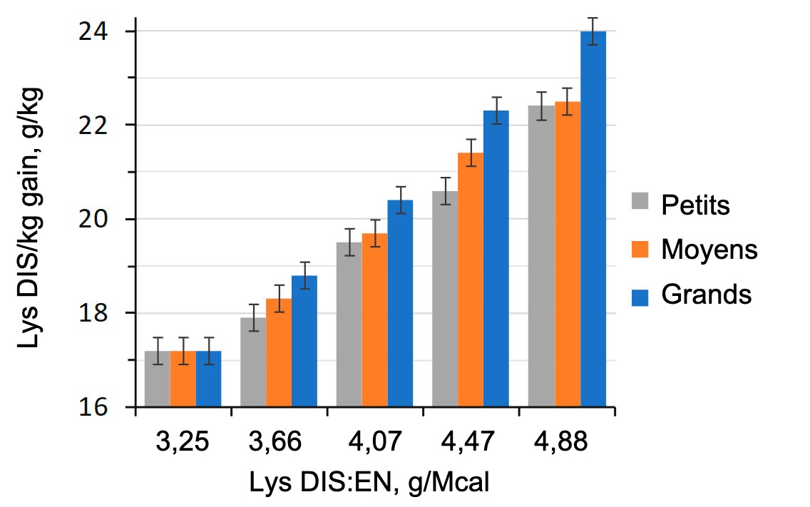 <p>Figure 1. Effet du rapport lysine-&eacute;nergie du r&eacute;gime alimentaire chez les porcs d'engraissement (28-63 kg PV) class&eacute;s en fonction de leur poids initial (Aymerich et al., 2020).</p>
