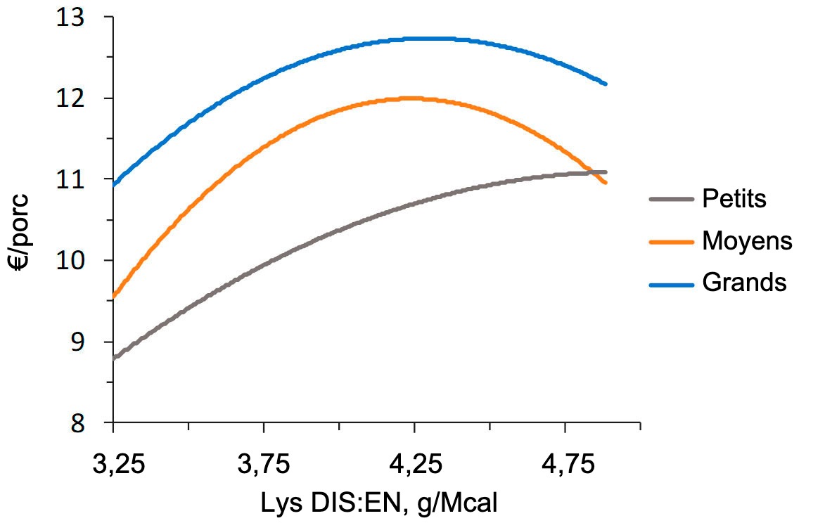 <p>Figure 2. Mod&eacute;lisation &eacute;conomique (IOFFC) de l'effet du rapport lysine-&eacute;nergie chez les porcs d'engraissement (28-63 kg PV) class&eacute;s selon leur poids initial (d'apr&egrave;s Aymerich et al., 2020)</p>
