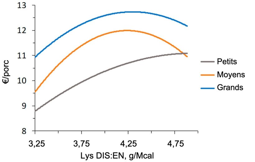 Figure 2. Mod&eacute;lisation &eacute;conomique (IOFFC) de l&#39;effet du rapport lysine-&eacute;nergie chez les porcs d&#39;engraissement (28-63 kg PV) class&eacute;s selon leur poids initial (d&#39;apr&egrave;s Aymerich et al., 2020)
