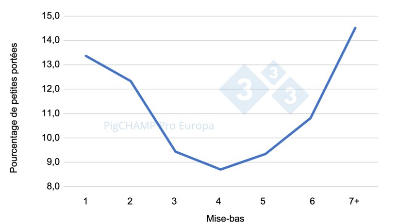 Graphique 2. R&eacute;partition en pourcentage des petites port&eacute;es (porcelets NV &le; 9) selon le rang de mise-bas, 2018-2019.
