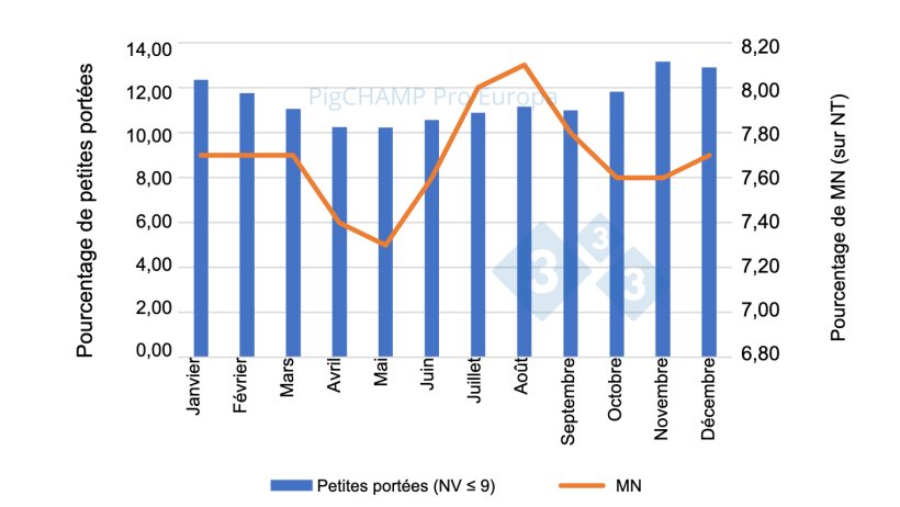 Graphique 3. R&eacute;partition en pourcentage des porcelets MN et des petites port&eacute;es (porcelets NV &le; 9), 2018-2019.
