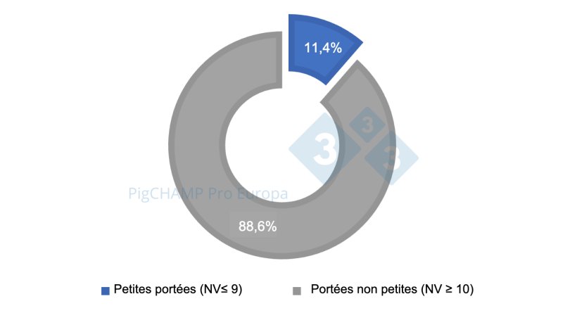 Graphique 1. R&eacute;partition en pourcentage des port&eacute;es selon la taille, 2018-2019.
