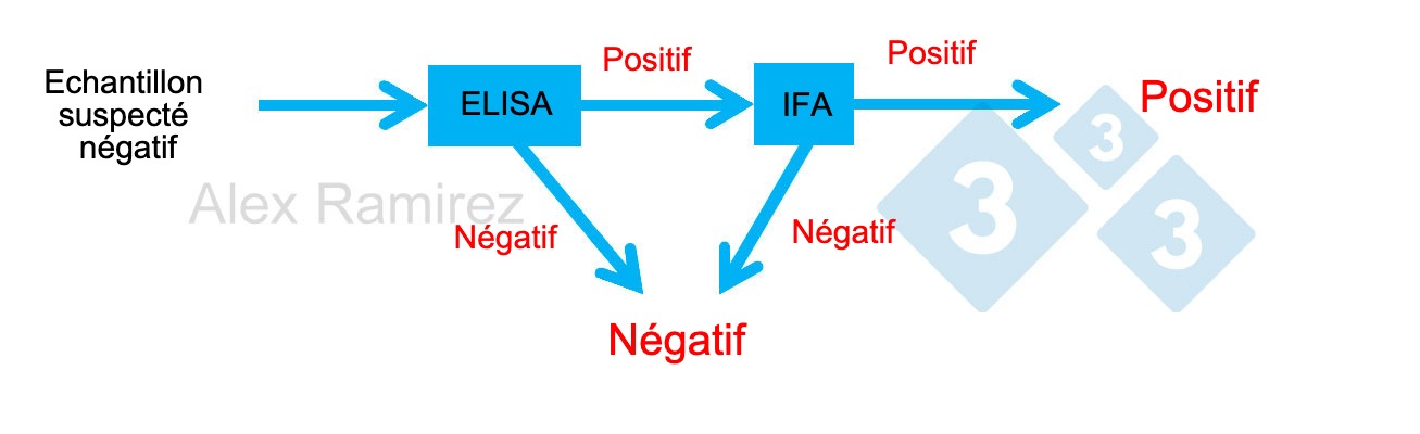 <p>Schéma montrant l'utilisation de l'IFA SDRP comme test de confirmation pour les échantillons qui sont inopinément positifs en SDRP par ELISA. Un échantillon soupçonné d'être négatif et négatif en ELISA est considéré comme négatif. Si cet échantillon est inopinément positif, une IFA SDRP peut être effectuée comme test de confirmation. Si le test IFA est positif, l'échantillon est confirmé comme positif. Si le test IFA est négatif, nous supposerons qu'il s'agissait d'un faux positif tant que la PCR est également négative pour confirmer qu'il n'y a pas d'infection récente.</p>