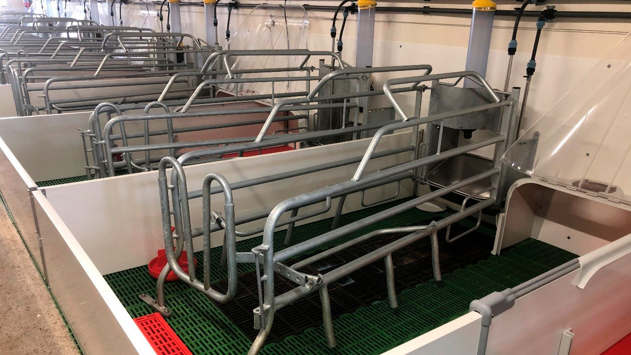 <p>Image 2. Place de maternit&eacute; correctement nettoy&eacute;e, d&eacute;sinfect&eacute;e et s&eacute;ch&eacute;e pour recevoir l'entr&eacute;e des truies &agrave; la mise bas.</p>
