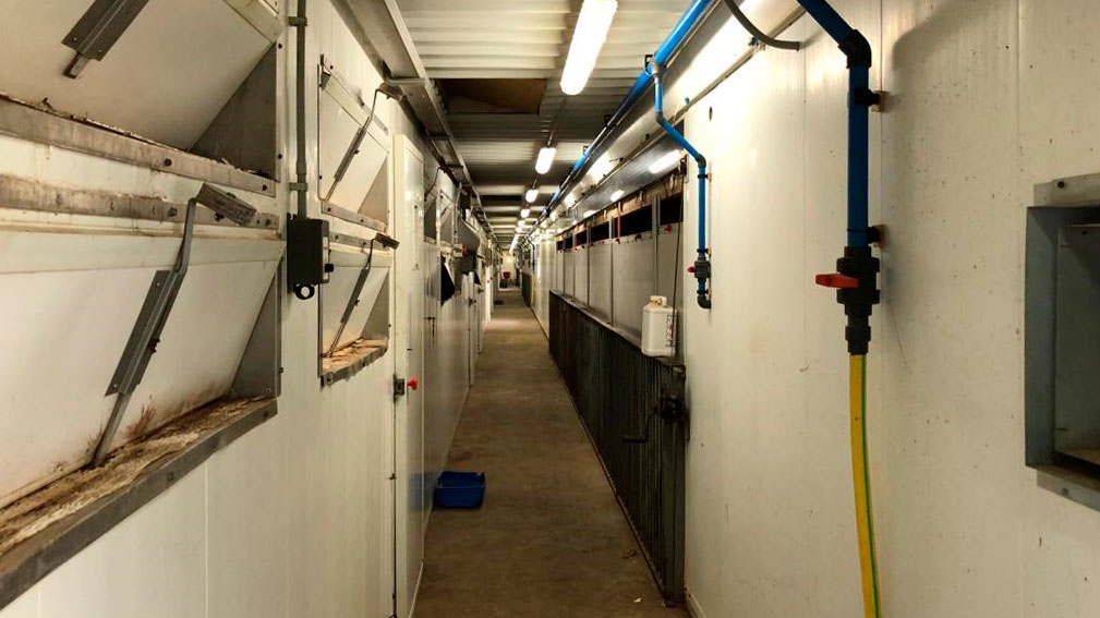 <p>Image 2. L'utilisation de p&eacute;diluves &agrave; l'entr&eacute;e des salles de maternit&eacute;s, ainsi que les mesures g&eacute;n&eacute;rales de nettoyage et d'ordre dans l'&eacute;levage, sont importantes pour minimiser la pression d'infection.</p>
