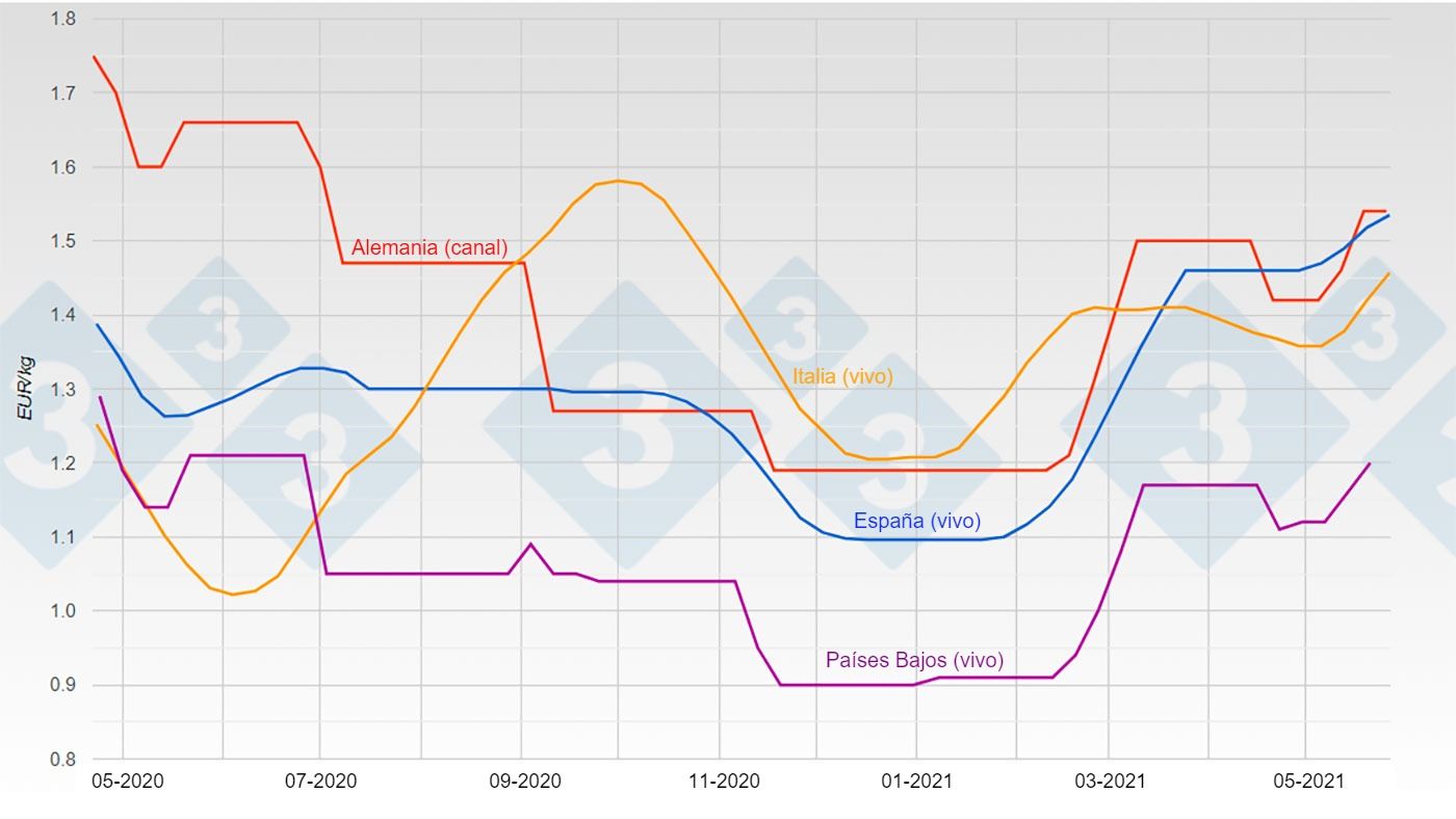 Graphique 1. &Eacute;volution du prix de la viande de porc en Allemagne, Espagne, Pays-Bas et Italie.
