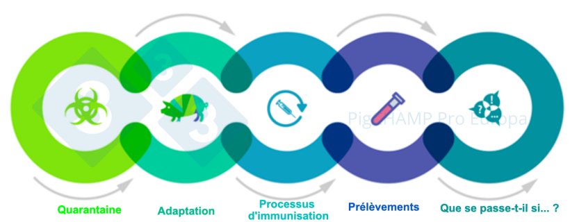 Figure 1. Principaux aspects interconnect&eacute;s qui doivent &ecirc;tre connus avant la visite.
