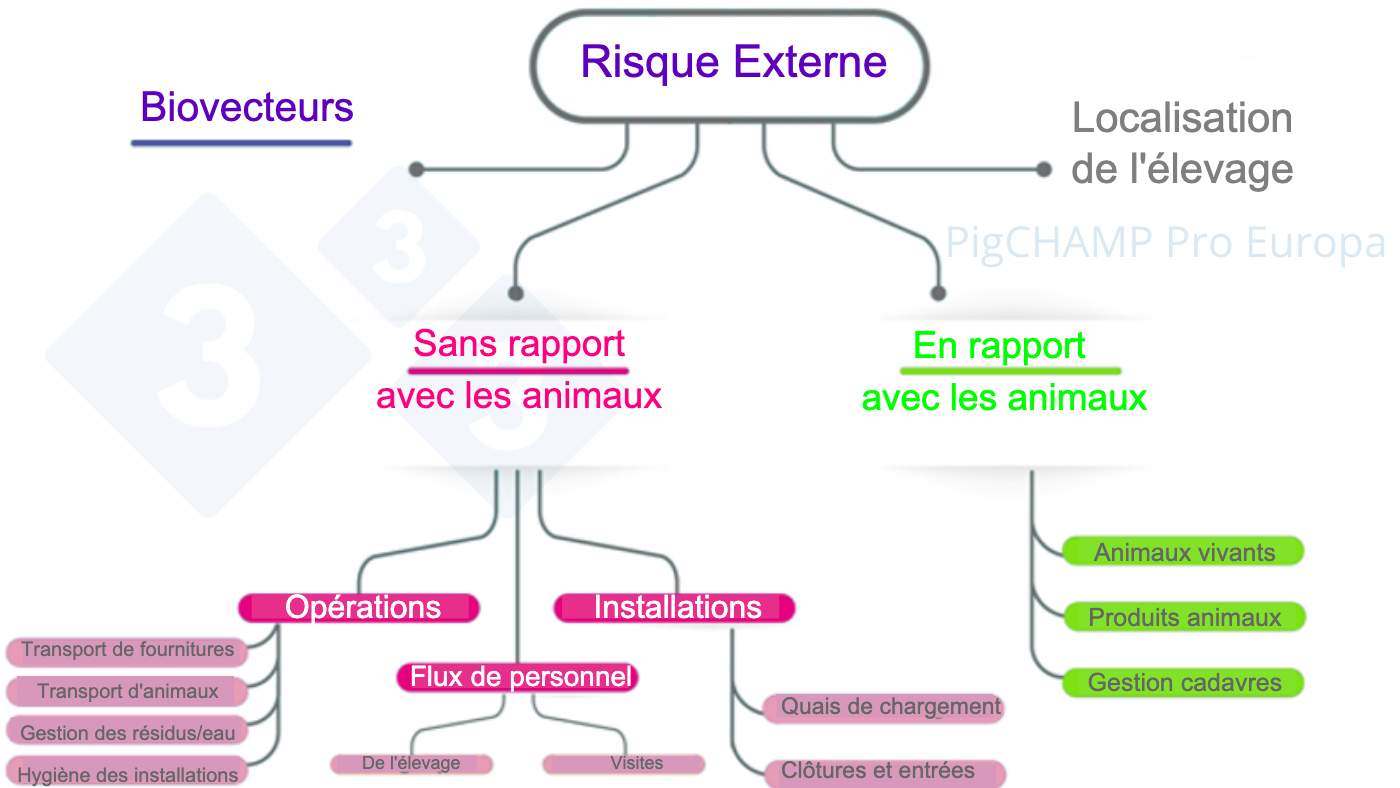 <p>Figure 3. Schéma d'analyse des principaux facteurs de risque externe lors de la visite d'élevage.</p>