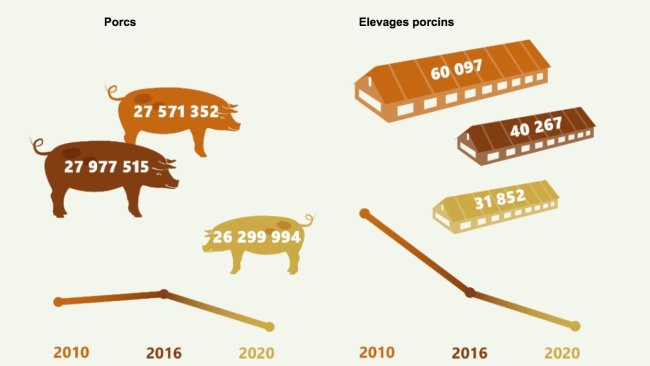 Evolution de l’effectif et des élevages porcins en Allemagne 2010-2020. Source : Destatis