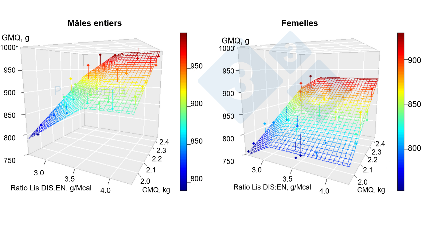<span>Figure 1. Modélisation de l'effet du rapport lysine-énergie et de la consommation moyenne journalière chez les mâles entiers et les femelles entre 70 et 105 kg de poids vif. GMQ =Gain moyen quotidien CMQ = consommation moyenne quotidienne. Source : Aymerich et al., 2020.</span>