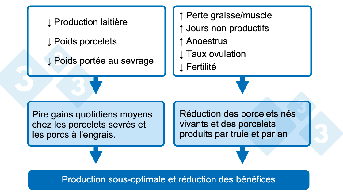<p>Graphique 1. Conséquences d'une faible consommation de nutriments en lactation.</p>
